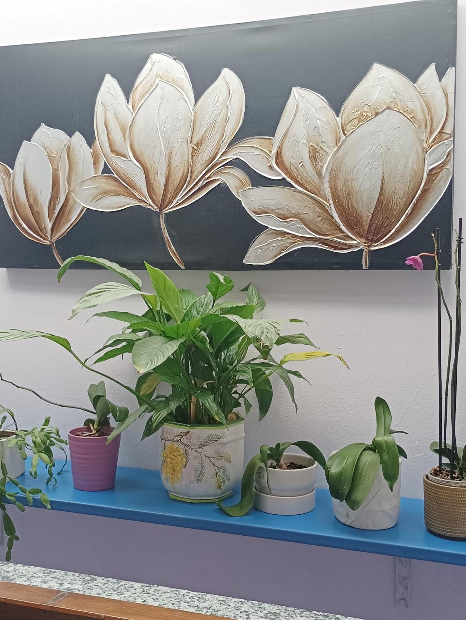 Appartamento Il Giardino Dei Semplici Semplici Bonate di Sopra Esterno foto